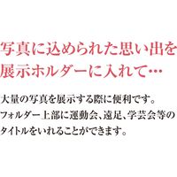 共栄プラスチック ORIONS 写真展示ホルダー 38ポケット SH-1 1枚