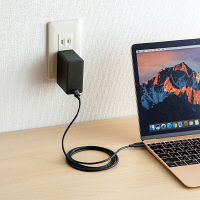 サンワサプライ USB Power Delivery対応AC充電器(45W) ACA-PD58BK 1個（直送品）