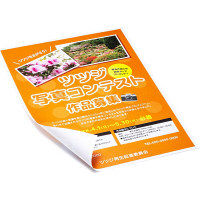 サンワサプライ インクジェット用片面つやなしマット紙 A3サイズ100枚入り JP-EM6A3-100 1冊（100枚入り）（直送品）