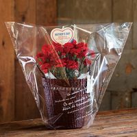 ヘッズ BKFギフトOPPポットバッグ-M BKF-OPCM 1セット（250枚：50枚×5パック）（直送品）