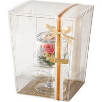 ヘッズ エレガントフラワークリアBOX-XS EGS-FBXS 1セット（100枚：10枚×10パック）（直送品）