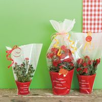 ヘッズ フラワーギフトOPPバッグ-4 FL-O4 1セット（500枚：50枚×10パック）（直送品）