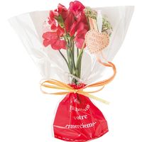 ヘッズ フラワーギフトOPPバッグ-6 FL-O6 1セット（500枚：50枚×10パック）（直送品）