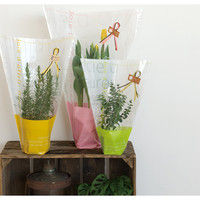 ヘッズ ミルキーポップギフトOPPバッグ-3/グリーン MPG-OP3 1セット（250枚：50枚×5パック）（直送品）