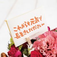 ヘッズ メッセージカード付フラワーピック-9/ナガイキ MSC-FP9 1セット（50本：10本×5パック）（直送品）