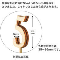 ヘッズ ナンバーピック-6 NO-FP6 1セット（50本：10本×5パック）（直送品）