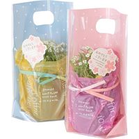 ヘッズ ドットPPスタンドバッグ/ブルー-2 LDT-OSB2 1セット（250枚：50枚×5パック）