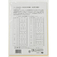 日本色研事業 トーナルカラー48色 B5判 23167 1セット(10冊)（直送品）
