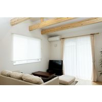 林製作所 ロールスクリーン プレーンタイプ 幅800×高さ2200mm オフホワイト L3507 1台（直送品）