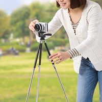 サンワダイレクト カメラ三脚（コンパクト・軽量・ビデオカメラ対応） 200-CAM022N 1個（直送品）