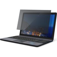 サンワダイレクト プライバシー液晶保護フィルター（ブルーライトカット・のぞき見防止・15.6インチワイド） 200-CRTPF156W 1個（直送品）