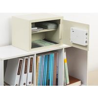 サンワダイレクト 電子金庫（マイナンバー・セキュリティ-対策・家庭用・テンキー・鍵式・壁掛け対応・中棚付き・21リットル） 200-SL044 1個（直送品）