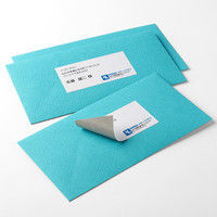 サンワダイレクト ラベルシール（下地が透けない 訂正シール・12面・A4・楽貼りタイプ） 300-DTP12 1個（直送品）