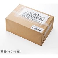 サンワダイレクト ペーパークラフト紙（A4・500シート） 300-JP006 1個（直送品）