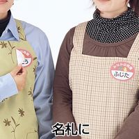 サンワダイレクト お名前シール 布タイプ（A4） インクジェット用（10枚入） 300-NU4 1個（直送品）