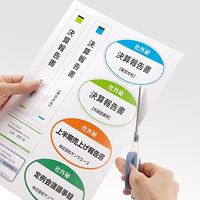 サンワダイレクト ラベルシール（A4・ノーカット・100枚） 300-RB07 1個（直送品）