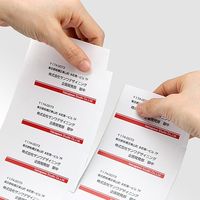 サンワダイレクト マルチ宛名ラベル（12面・100シート・A4） 300-RB12 1個（直送品）