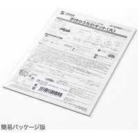 サンワダイレクト 手作りうちわ張替えラベル（大・JP-UTIWA1N用・10枚） 300-UTW1 1個（直送品）