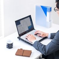 サンワダイレクト ノートパソコンクーラー（冷却台・静音・15.6インチ対応・4ファン・USB給電・スタンド付き） 400-CLN026 1個（直送品）