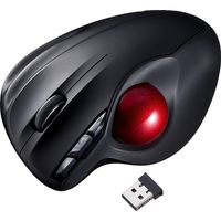 ワイヤレスマウス　無線　5ボタン　大型サイズ　レーザー　400-MA073BK　サンワサプライ　１個（直送品）