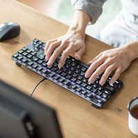 有線キーボード　メカニカル　テンキーレス　ブラック　400-SKB057R　サンワサプライ　１個（直送品）