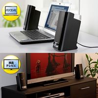 サンワダイレクト パソコン・テレビ対応!10W スピーカー 400-SP027 1個（直送品）