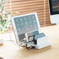 サンワダイレクト 充電器ステーション（USB充電器・スマホ・タブレット対応・最大6A/36W・6ポート搭載） 700-AC019W 1個（直送品）