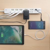 サンワダイレクト 電源タップ（USB充電ポート付・最大3.1Aまで・1500W・2m・5個口・個別スイッチ付） 700-TAP030 1個（直送品）
