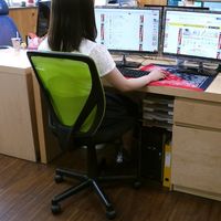 ネットフォース オフィスチェア ラパンチェア グリーン VTR-15-AW 1脚（直送品）