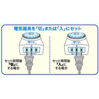 リーベックス 1回だけ「入・切」タイマー CT12（直送品）