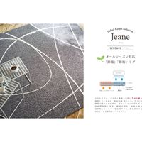 プレーベル ラグ ジーン 幅1900×奥行1900mm ダークブラウン 1枚（直送品）