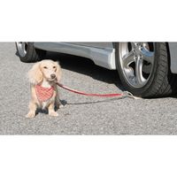 清水製作所 モンブラン わんわんボード #36035（直送品）