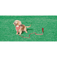 清水製作所 モンブラン わんわんスティック #36036（直送品）