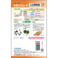 ニチノウのタネ かおりうらしそ 日本農産種苗 4960599140500 1セット（5袋入）（直送品）