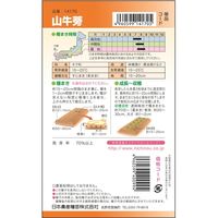 ニチノウのタネ 山牛蒡 日本農産種苗 4960599141705 1セット（3袋入）（直送品）