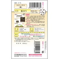 ニチノウのタネ スターチス（桃） 日本農産種苗 4960599311689 1セット（5袋入）（直送品）