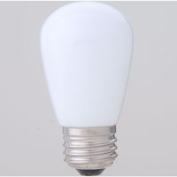 朝日電器 LED電球サイン球E26 LDS1N-G-G900 1個