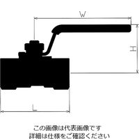 コンサス ボールバルブ(圧力計用) 8A CSG-8A 1個 3-8386-01（直送品）