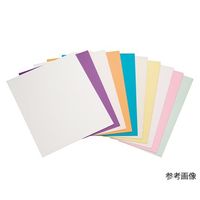 理研コランダム 精密研磨フィルムシート #2000 SKF#2000 1枚 3-9013-05（直送品）