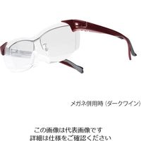 エニックス スマートアイ ダークワイン SL-10-5 1個 3-9368-02