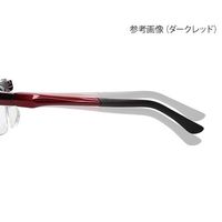 エニックス エニックスルーペ グレー ALF-10-3 1個 3-9369-03（直送品）