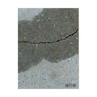 リックス コンクリート補修材 セメリッド(R) 500g 3-9808-01 1袋(500g)（直送品）