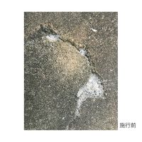 リックス コンクリート補修材 セメリッド(R) 1kg 3-9808-02 1袋(1000g)（直送品）