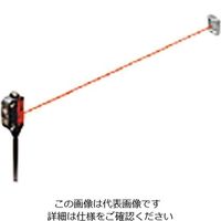 パナソニック 超小型レーザーセンサー(アンプ内蔵) EX-L291 1個 3-762-03（直送品）