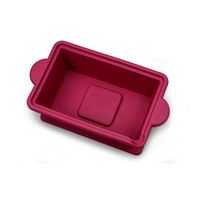 アズワン アイスバケツ(フタ・ハンドル付) 角型(赤) 9L 3-8579-04 1個（直送品）