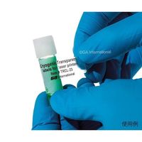 アズワン 透明リムーバブル低温ラベル(レーザープリンタータイプ) 126ラベル×16シート入 TRCL-23 1袋(2016ラベル)（直送品）