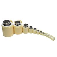 アズワン 円筒分銅 SWM100 1個 3-9953-05（直送品）