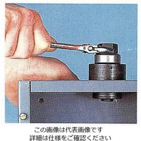 エスコ 19.1x33.3mm 角パンチユニット EA620GD-24 1セット(1個)（直送品）