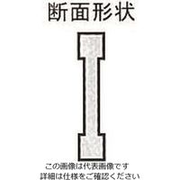 エスコ 500mm 鋼製ストレートエッジ(アイビーム型A級) EA720YN-1 1個（直送品）