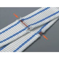 エスコ 50mmx2.5m/1.25t ベルトスリング(耐化学薬品) EA981TF-2.5 1本（直送品）